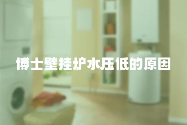 博士壁掛爐水壓低的原因