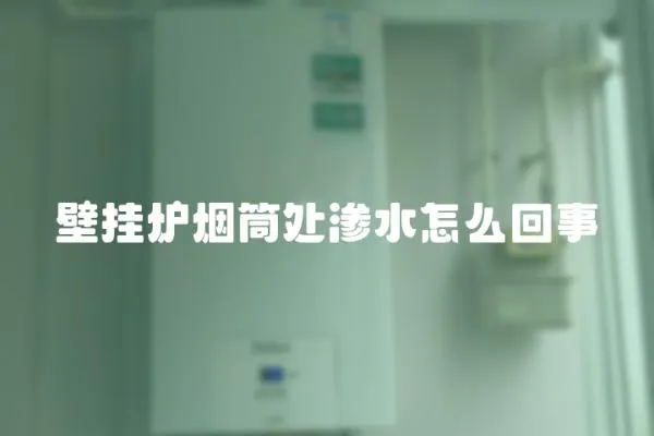 壁掛爐煙筒處滲水怎么回事