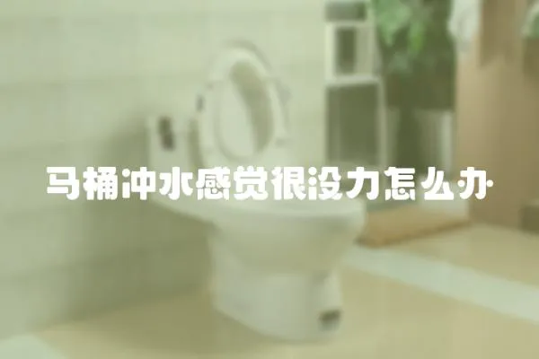 馬桶沖水感覺很沒力怎么辦
