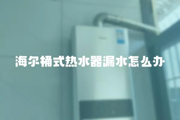 海爾桶式熱水器漏水怎么辦