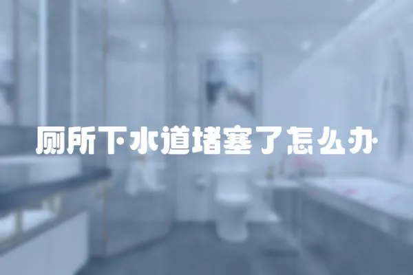 廁所下水道堵塞了怎么辦