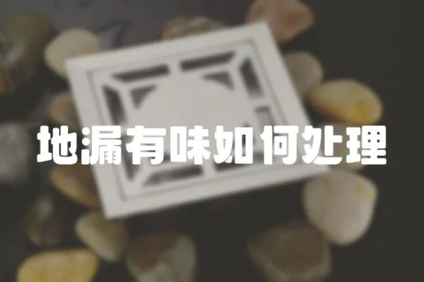 地漏有味如何處理