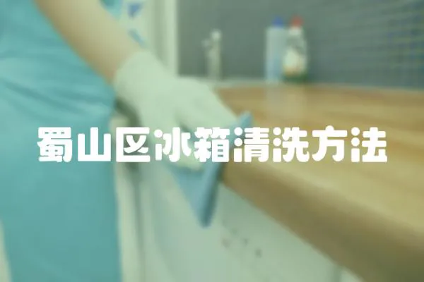蜀山區冰箱清洗方法