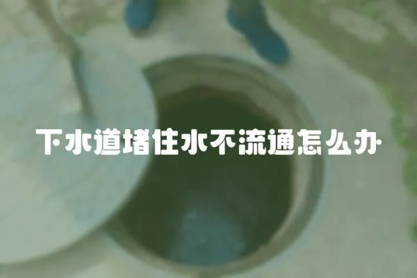 下水道堵住水不流通怎么办