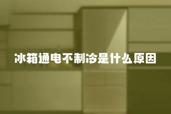 冰箱通電不制冷是什么原因