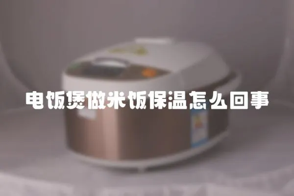 電飯煲做米飯保溫怎么回事