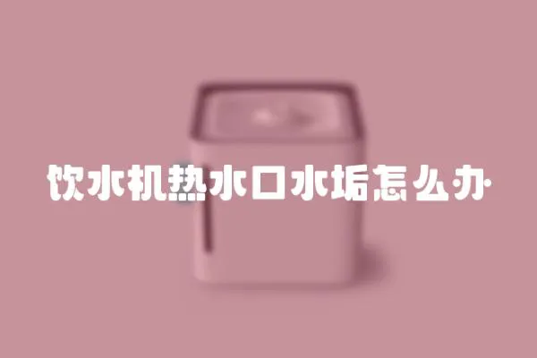 飲水機熱水口水垢怎么辦