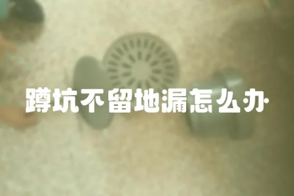 蹲坑不留地漏怎么辦