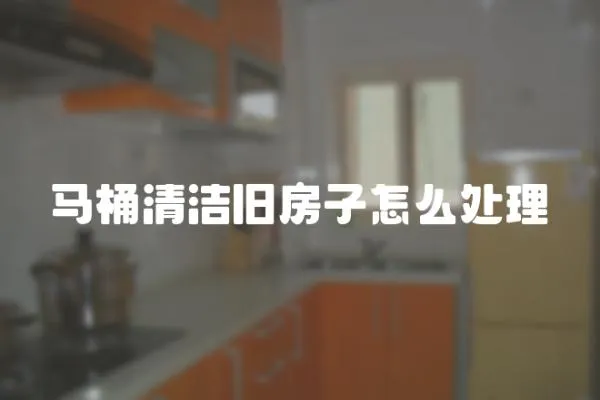 馬桶清潔舊房子怎么處理