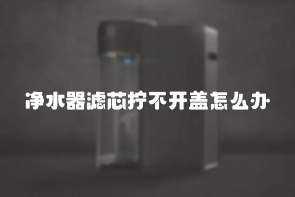 凈水器濾芯擰不開蓋怎么辦