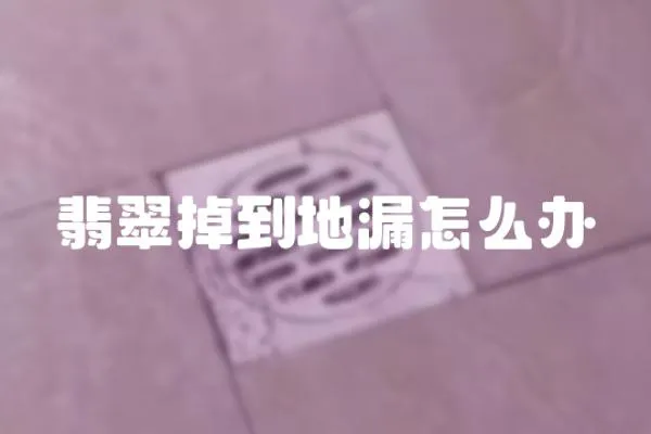 翡翠掉到地漏怎么辦