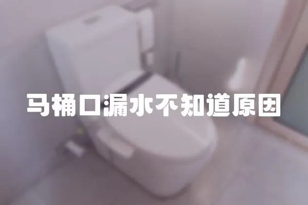馬桶口漏水不知道原因