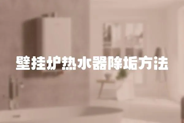 壁掛爐熱水器除垢方法