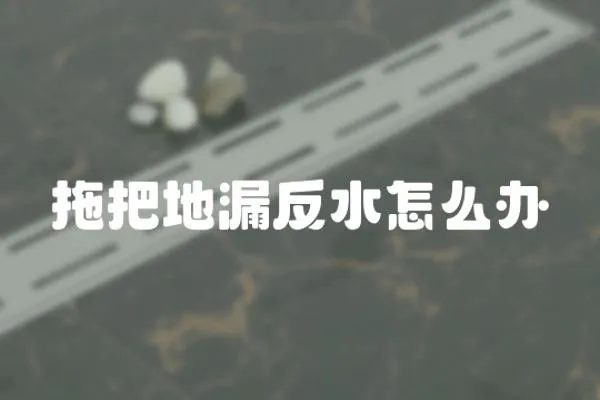 拖把地漏反水怎么辦
