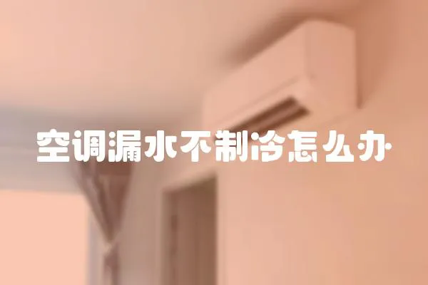 空調漏水不制冷怎么辦