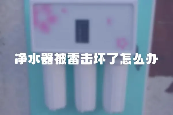 凈水器被雷擊壞了怎么辦