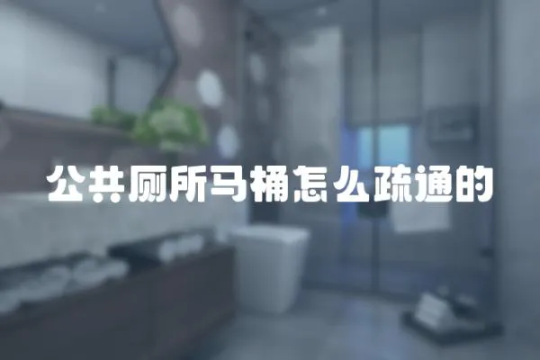公共廁所馬桶怎么疏通的