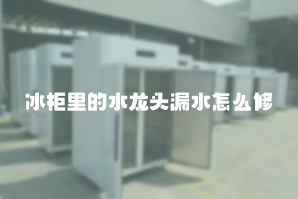 冰柜里的水龍頭漏水怎么修