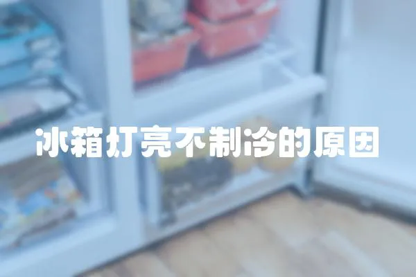 冰箱燈亮不制冷的原因