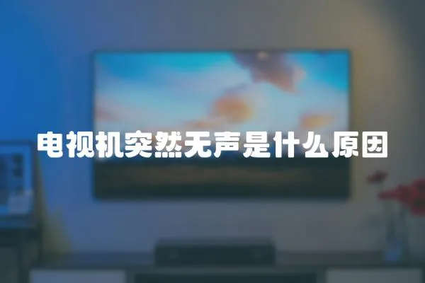 電視機突然無聲是什么原因