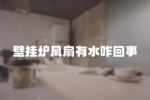壁掛爐風(fēng)扇有水咋回事