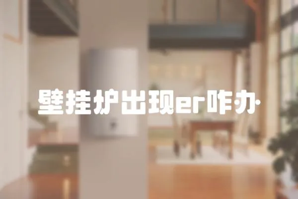 壁掛爐出現(xiàn)er咋辦