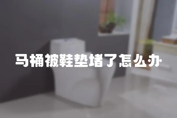 馬桶被鞋墊堵了怎么辦
