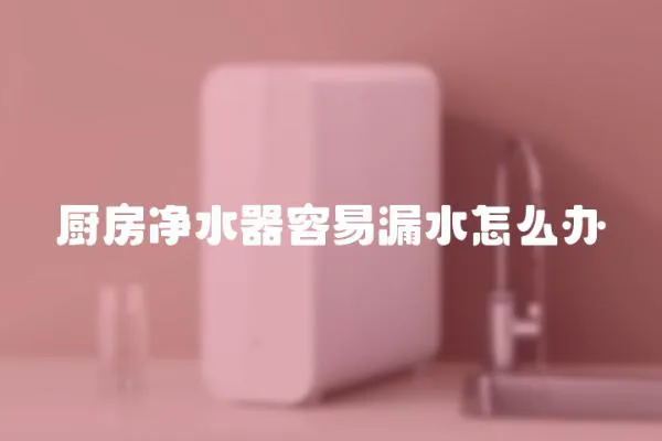 廚房凈水器容易漏水怎么辦