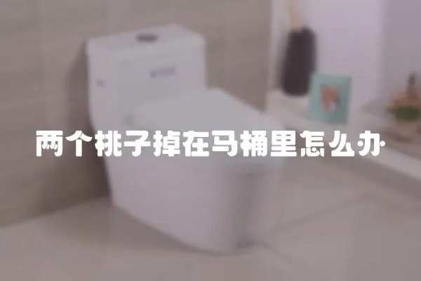 兩個桃子掉在馬桶里怎么辦