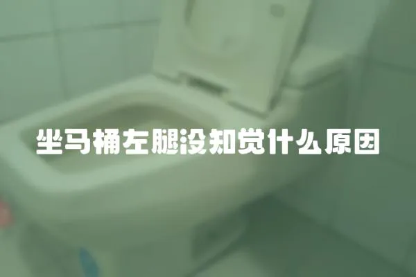 坐馬桶左腿沒知覺什么原因
