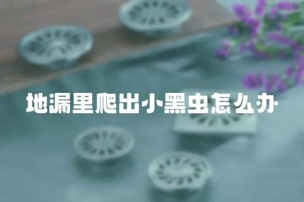 地漏里爬出小黑蟲怎么辦