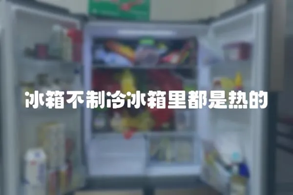 冰箱不制冷冰箱里都是熱的