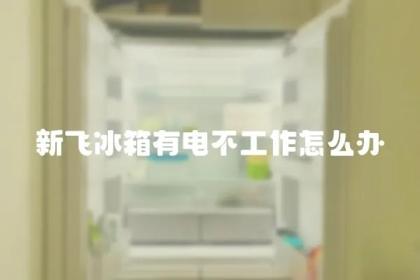 新飛冰箱有電不工作怎么辦