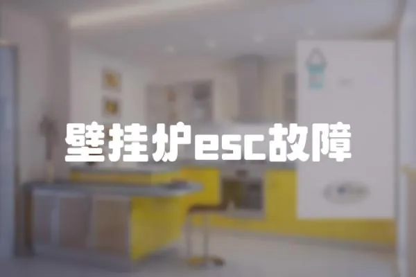 壁掛爐esc故障