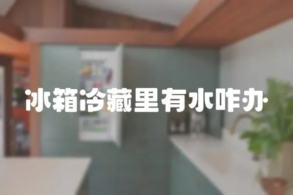 冰箱冷藏里有水咋辦