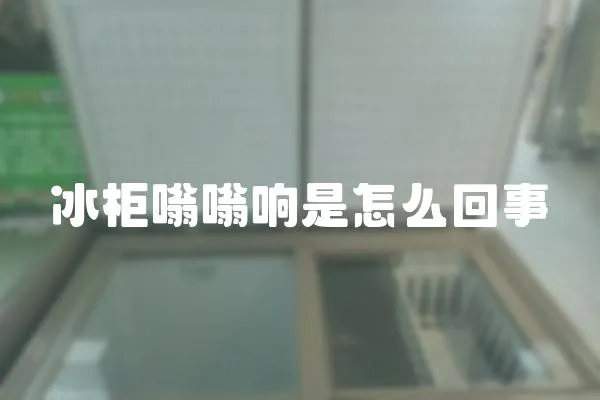 冰柜嗡嗡響是怎么回事
