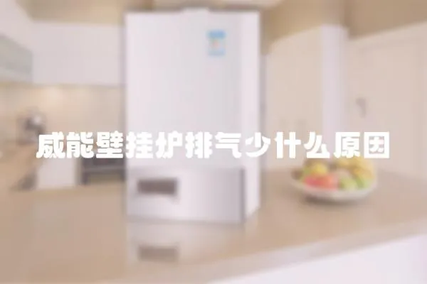 威能壁掛爐排氣少什么原因
