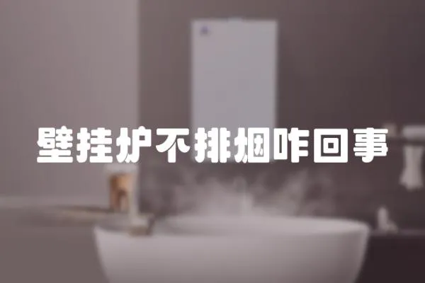 壁掛爐不排煙咋回事