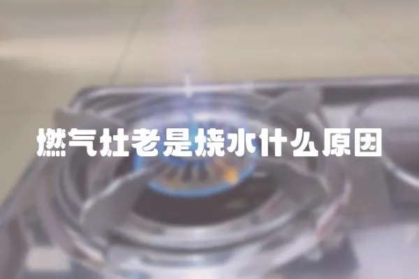 燃?xì)庠罾鲜菬裁丛?></a></div>
                    </div>
                    <div   id=