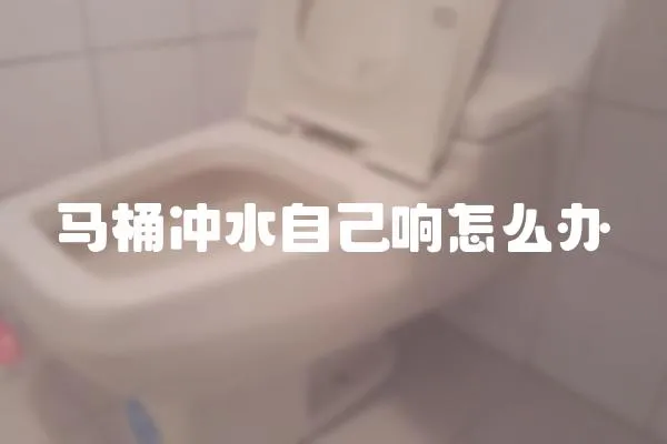 馬桶沖水自己響怎么辦
