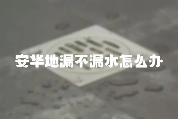 安華地漏不漏水怎么辦