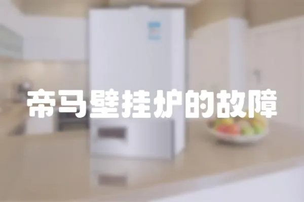 帝馬壁掛爐的故障