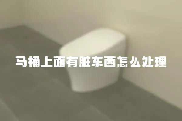 馬桶上面有臟東西怎么處理