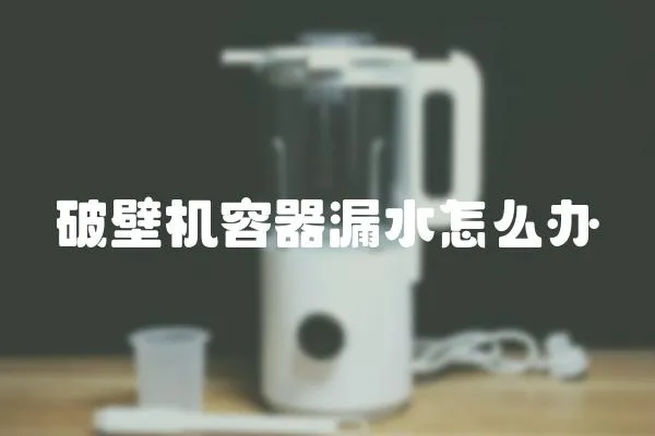 破壁機(jī)容器漏水怎么辦