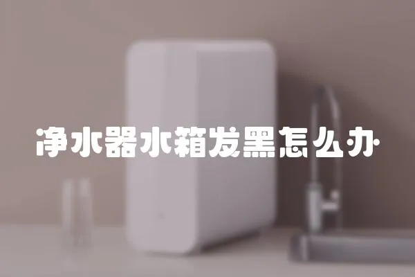 凈水器水箱發黑怎么辦