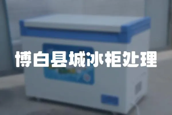 博白縣城冰柜處理
