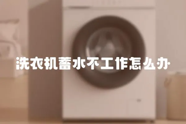 洗衣機蓄水不工作怎么辦
