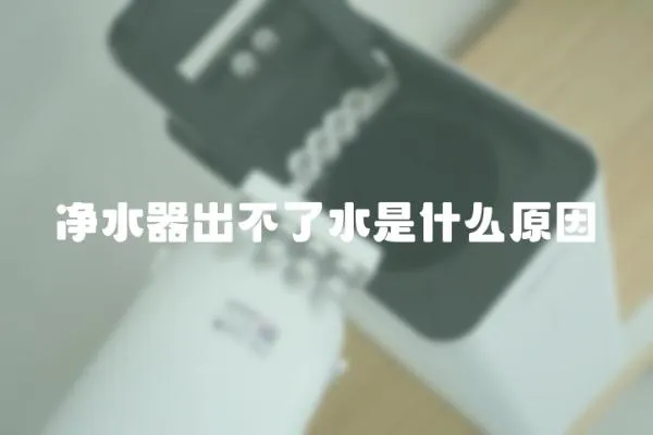 凈水器出不了水是什么原因