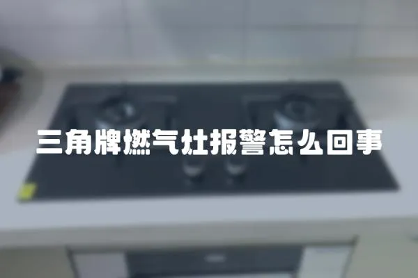 三角牌燃?xì)庠顖?bào)警怎么回事