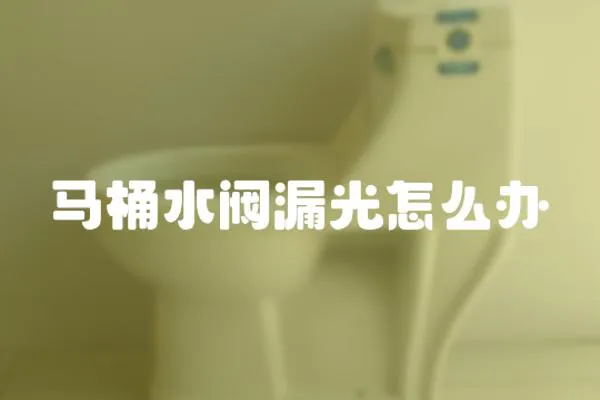 馬桶水閥漏光怎么辦